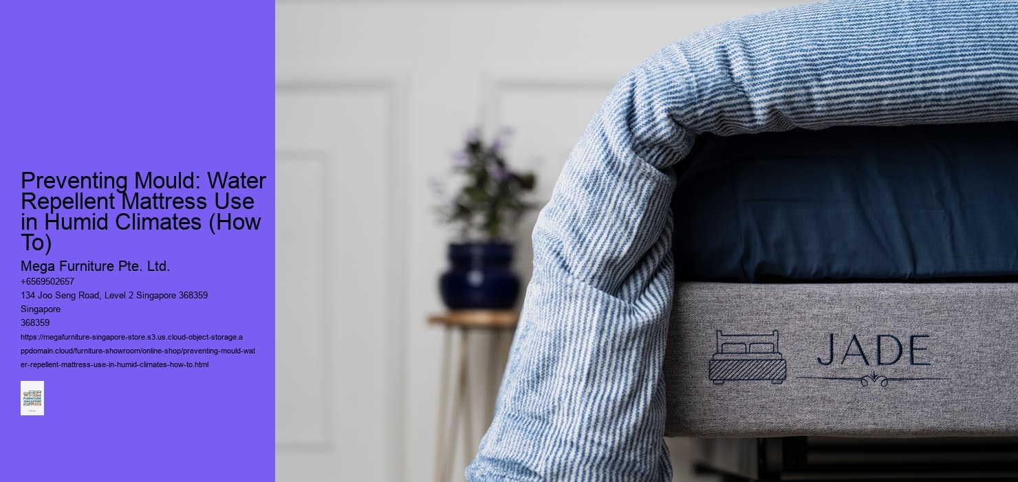 Preventing Mould: Water Repellent Mattress Use in Humid Climates (How To)